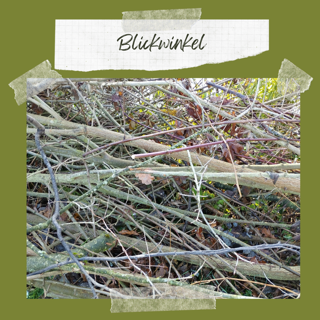 Blickwinkel (1)