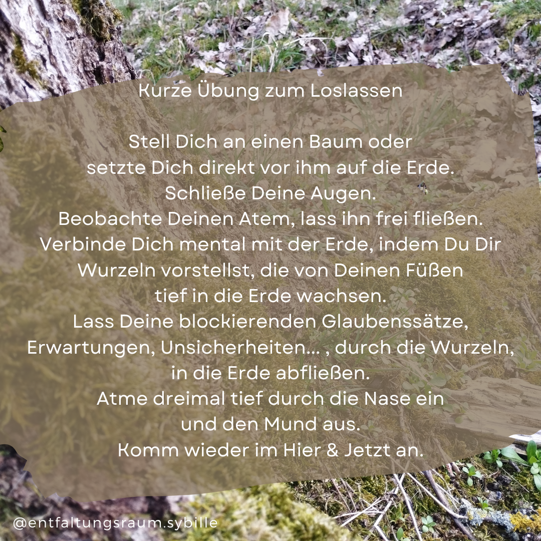 &Uuml;bung zum Loslassen 1