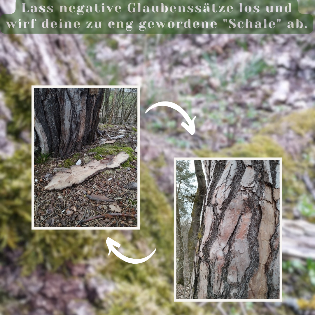 &Uuml;bung zum Loslassen 2