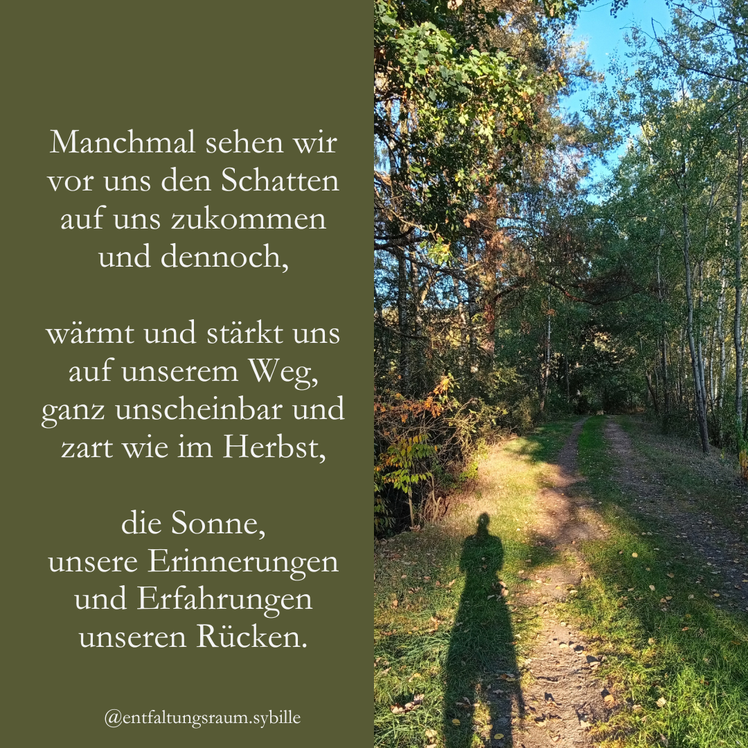 Beitrag Licht &amp; Schatten (4)