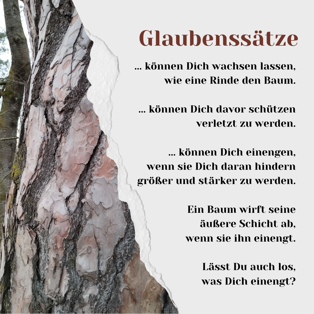 Glaubenss&auml;tze 1