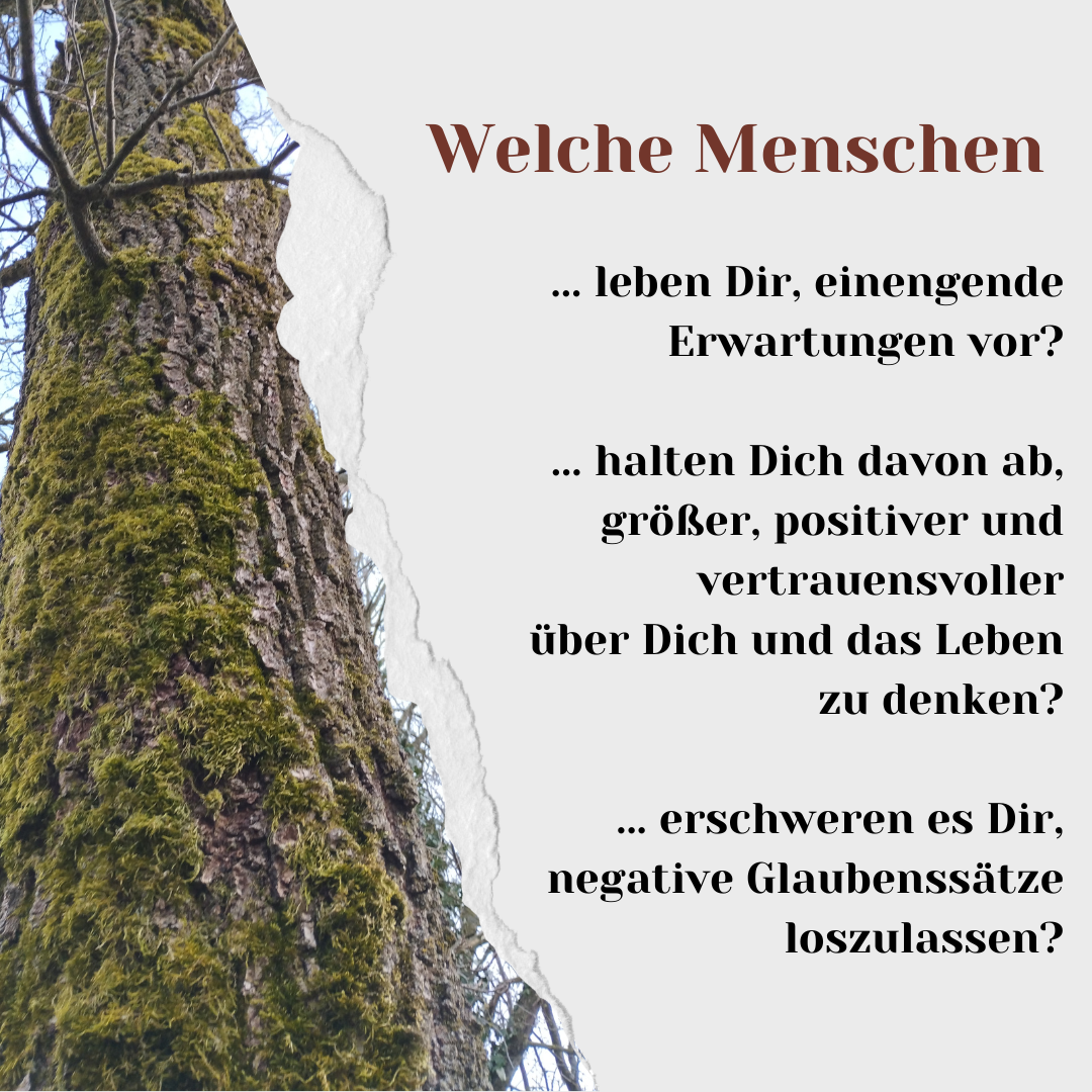 Glaubenss&auml;tze 4