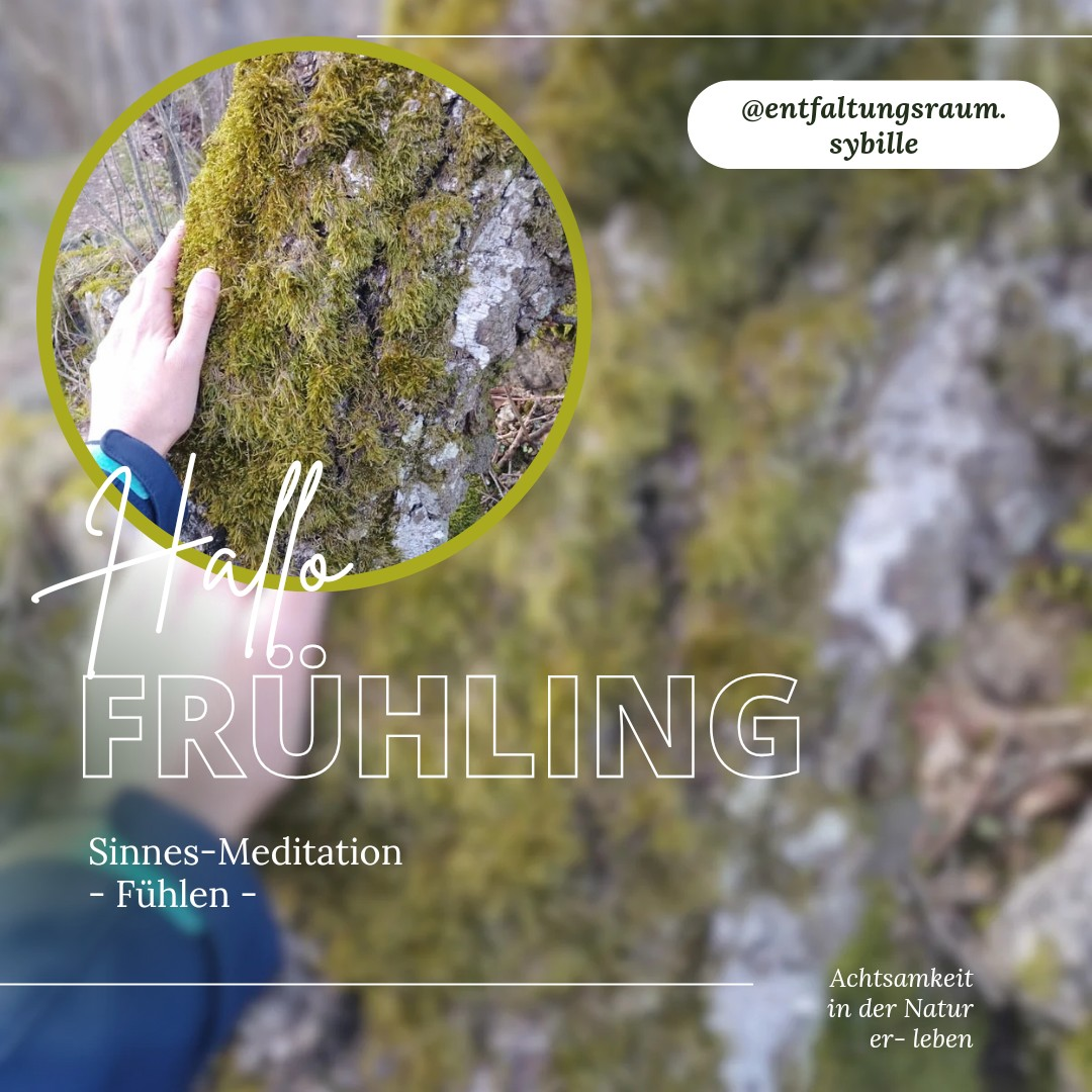 Hallo Fr&uuml;hling 1