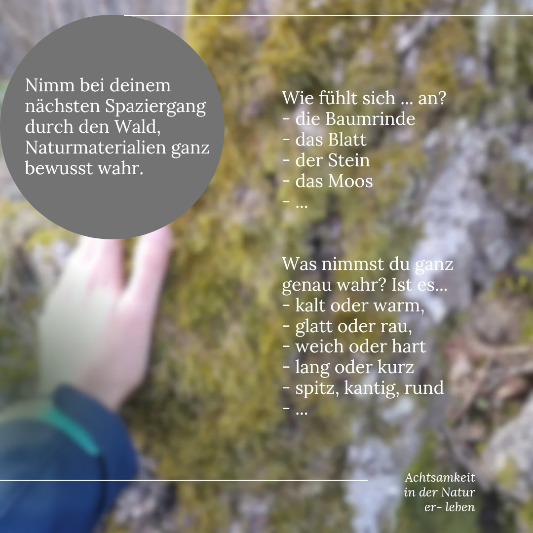 Hallo Fr&uuml;hling 2