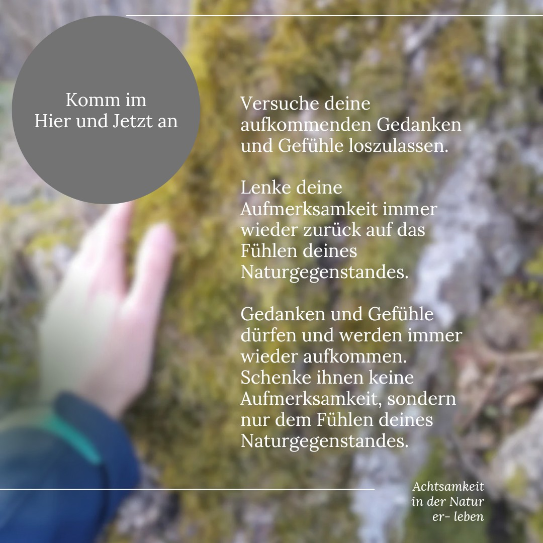 Hallo Fr&uuml;hling 3