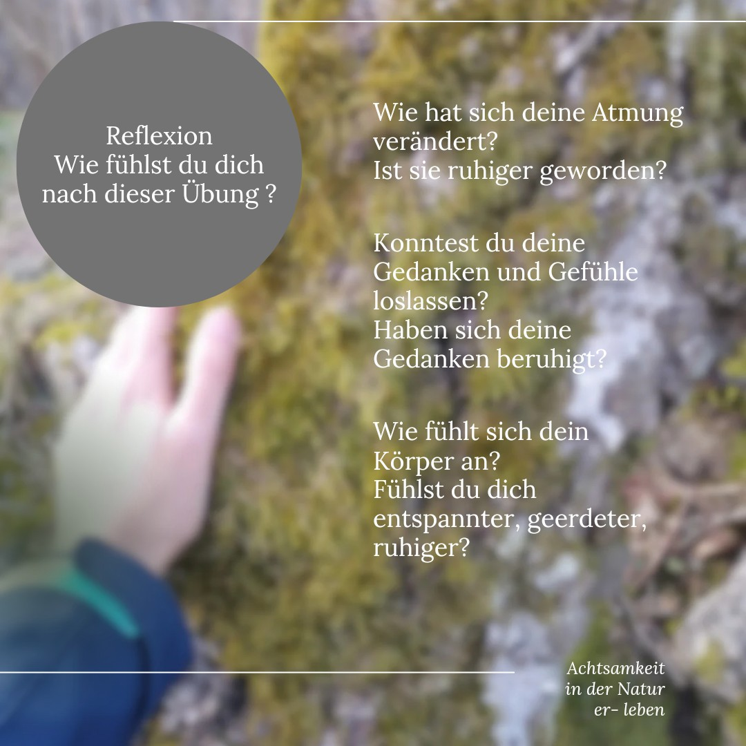 Hallo Fr&uuml;hling 4