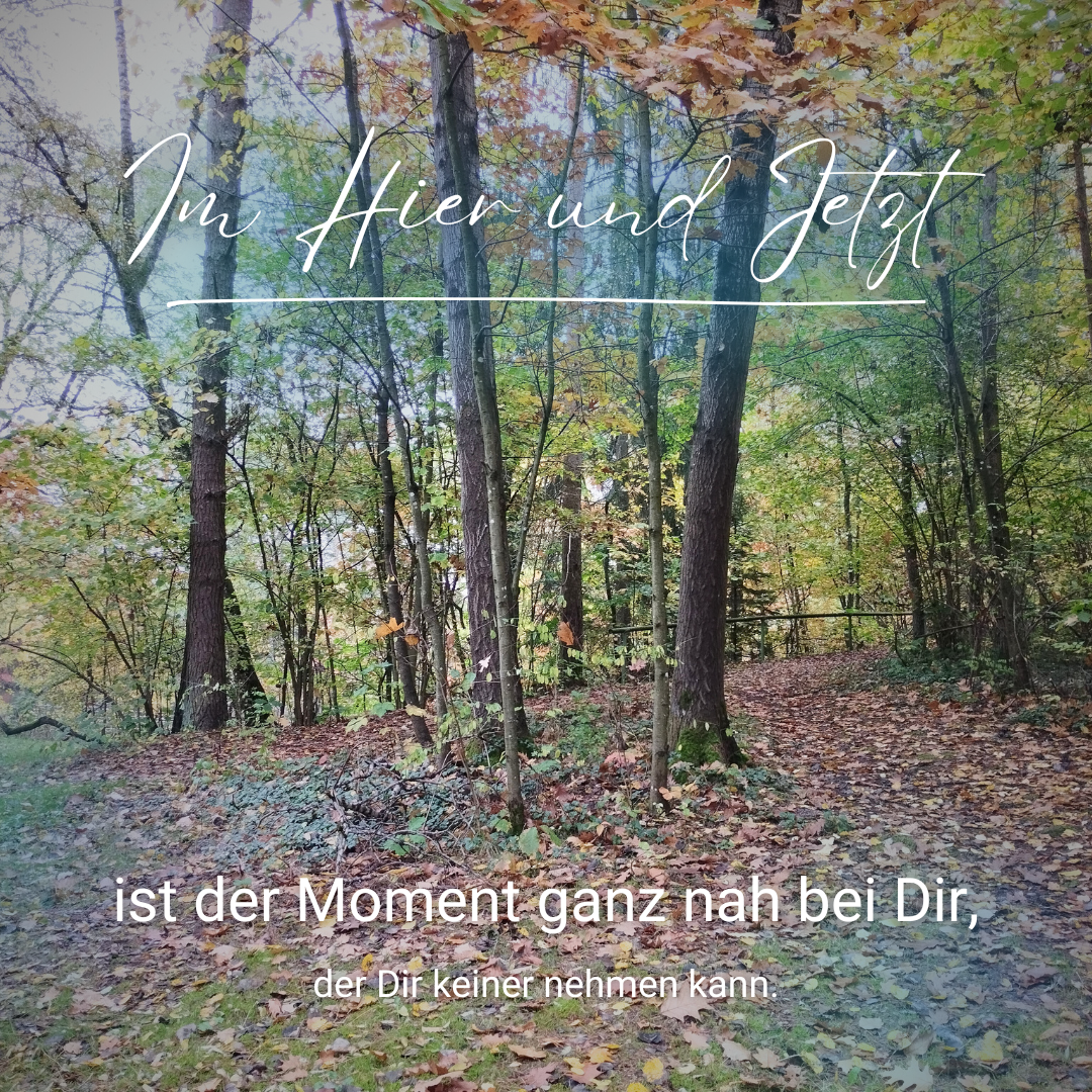 Im Hier und Jetzt