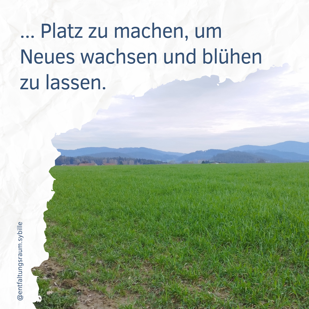 Kopie von N&auml;hrboden - Coaching, 2. Blatt Instagram Beitrag