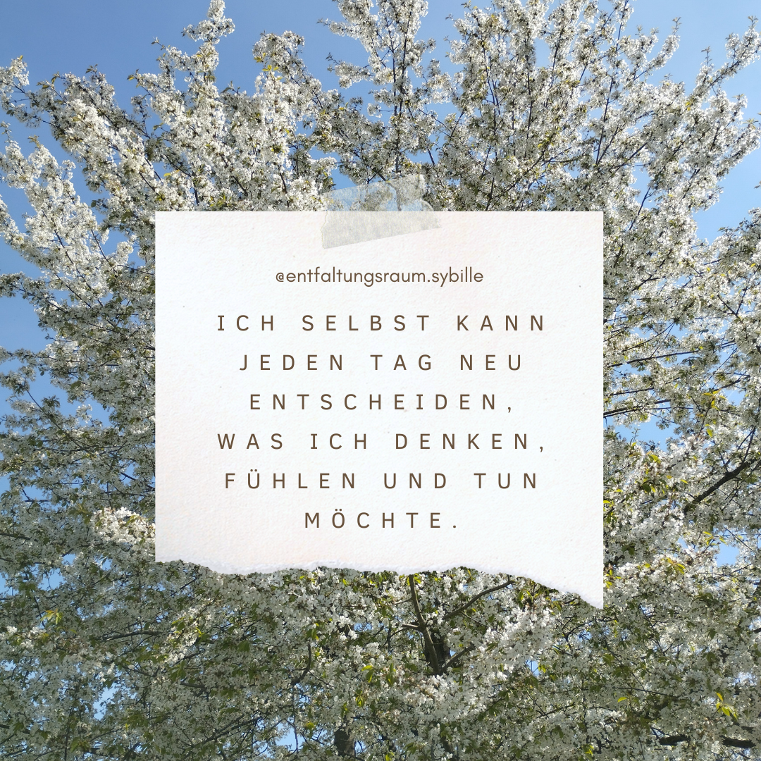 N&auml;hrboden Coaching - 2. Instagram Beitrag