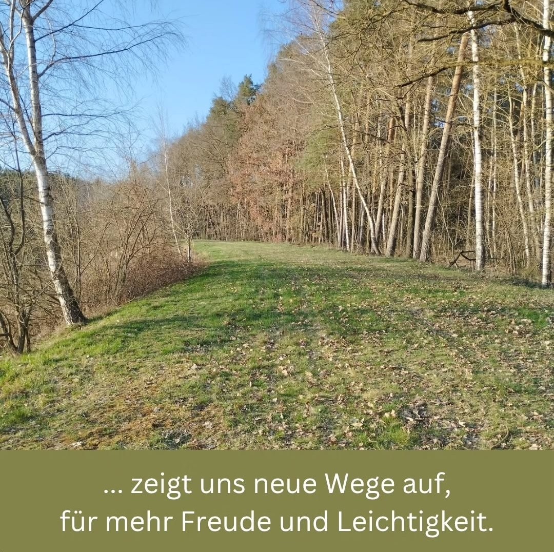 Psychologische Astrologie (4)