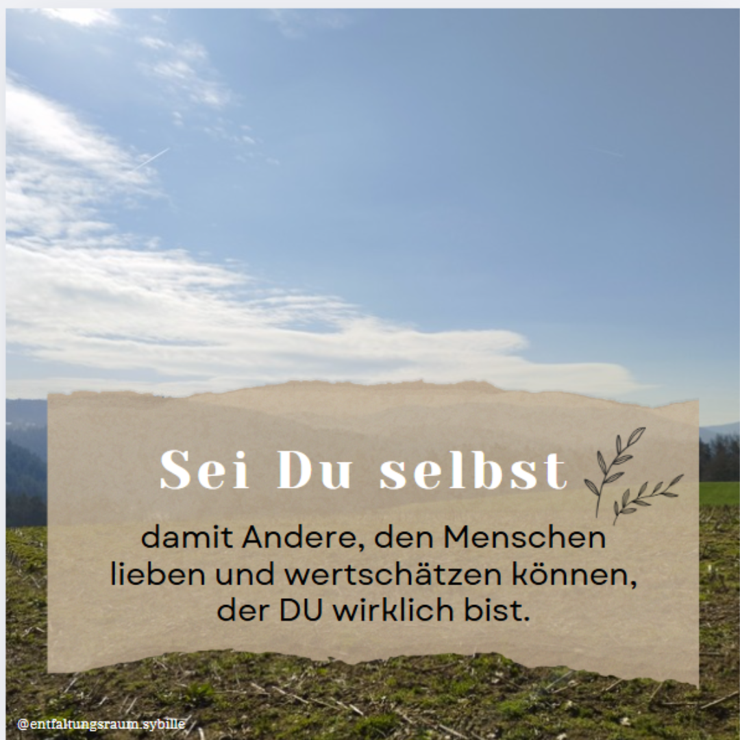 Seid Du selbst Beitrag