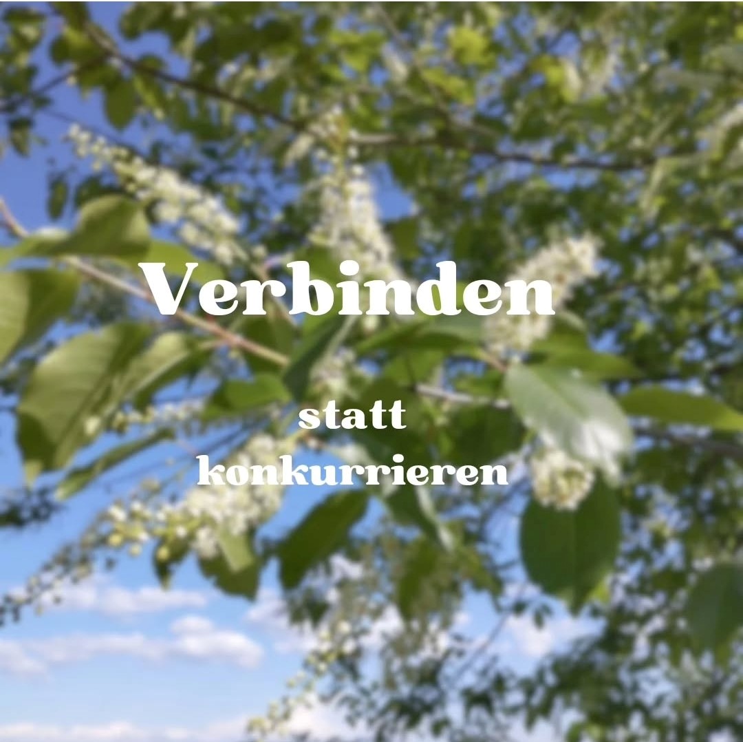 Verbindungen (1)